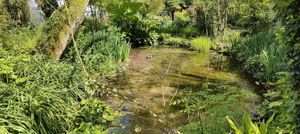  at Upwey Wishing Well in Weymouth