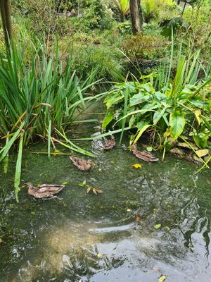  at Upwey Wishing Well in Weymouth
