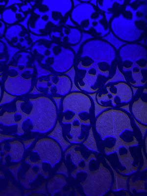 Awesome wallpaper  at The Lady Luck in Canterbury