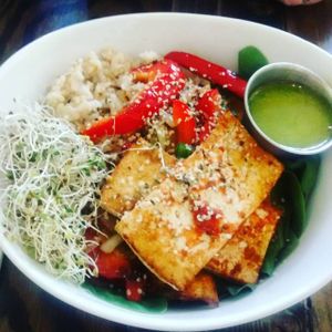 Nourish bowl at Wild Leek in Halifax