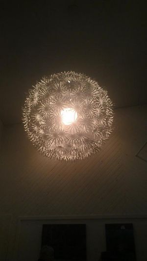 The awesome light at Wild Leek in Halifax