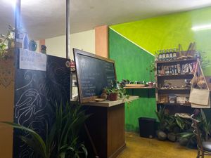  at Vegan Rubí in Ixtapa