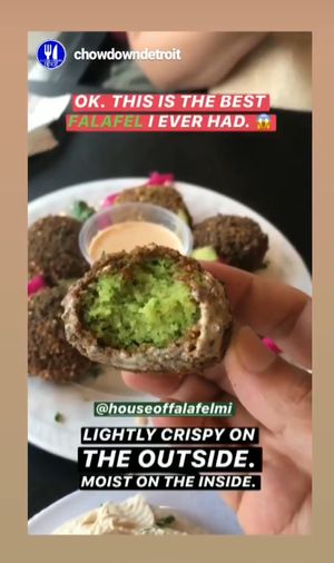Award winning falafels at House of Falafel in Farmington Hills