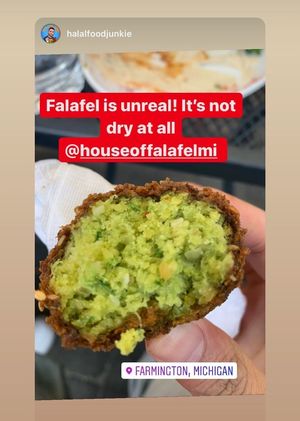 So moist and fresh all day at House of Falafel in Farmington Hills