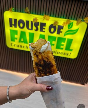  at House of Falafel in Farmington Hills