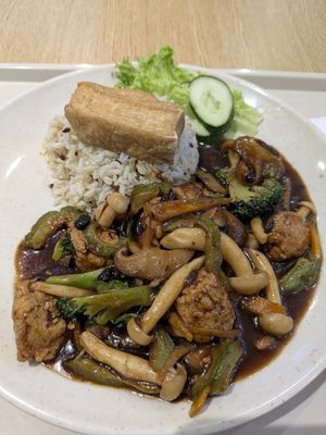 Vegan Black Bean Bittergourd Soy Chicken Rice at Organic Vegetarian @ Pavilion KL in Kuala Lumpur