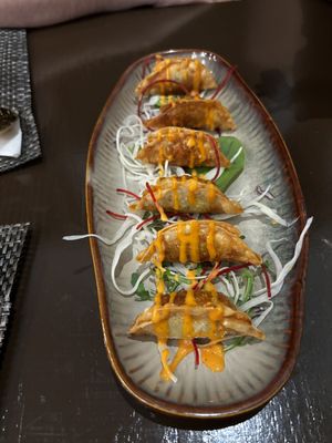   at Koko Organic in Prague