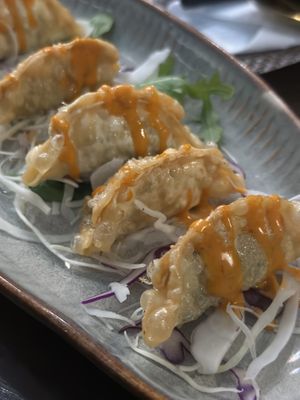   at Koko Organic in Prague