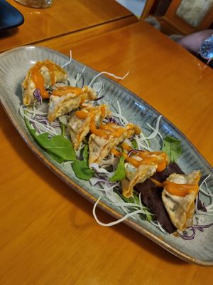 Dumplings at Koko Organic in Prague