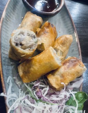   at Koko Organic in Prague