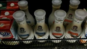 califia at Pete's Fine Foods in Halifax