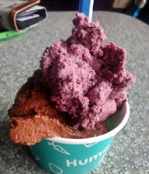 Soy mocha and coconut blueberry gelato  at Humani-T Cafe - Downtown in Halifax