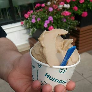 vanilla coco cola gelato vegan  at Humani-T Cafe - Downtown in Halifax