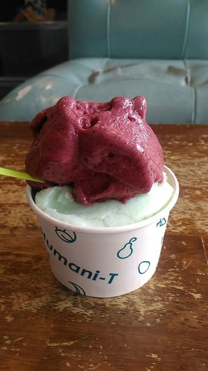 Blueberry and lime gelato vegan at Humani-T Cafe - Downtown in Halifax