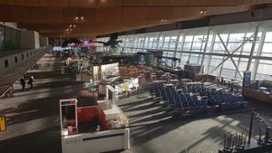 view on the airport from the bar at WLG - Peloton Bar & Eatery in Wellington