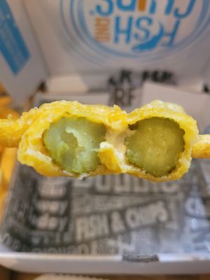 Frickles at Tafarn Y Garth in Bangor