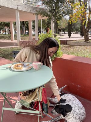 Pet friendly   at Café Fátima - Maybe closed in Monterrey