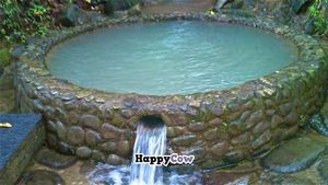 Spring fed pool for soaking and refreshing at Farm of Life - Finca de Vida in Dominical