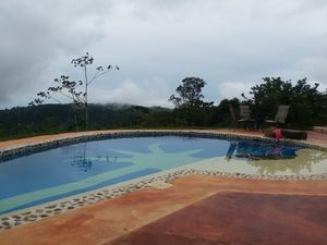Pool at Farm of Life - Finca de Vida in Dominical