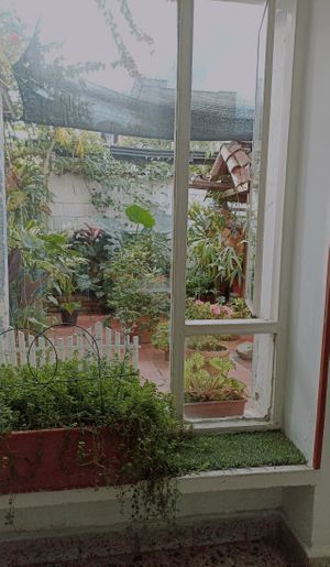  at Delicias  Naturales in Bucaramanga