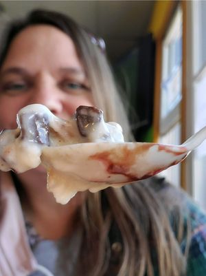 Mint chip ice cream! at El Cantaro Vegan Mexican Restaurant in Monterey