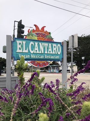   at El Cantaro Vegan Mexican Restaurant in Monterey