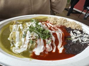 Enchiladas con salsa bandera  at El Cantaro Vegan Mexican Restaurant in Monterey