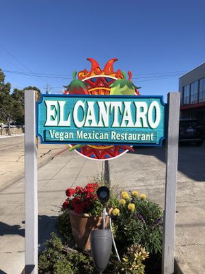 Your beacon to vegan tacos at El Cantaro Vegan Mexican Restaurant in Monterey
