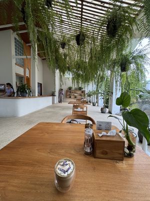 Green vibes  at Hexagon in Koh Phangan