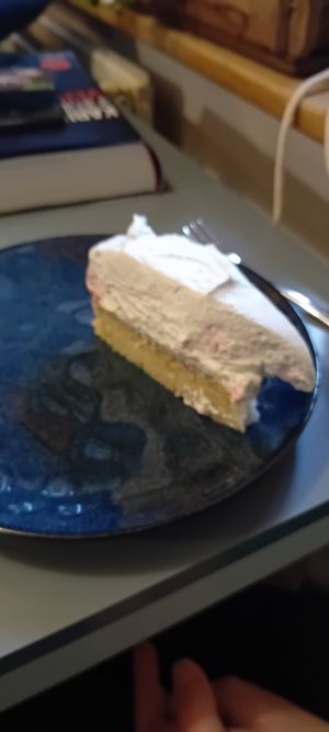 Vanillebisquit mit Blaubeeren at Wombats Café in Giessen