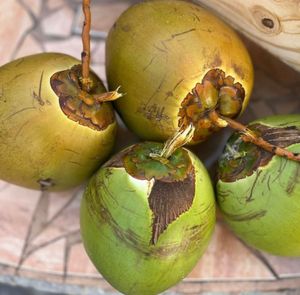 Fresh coco water!  at Suka Kitchen Culebra  in Culebra