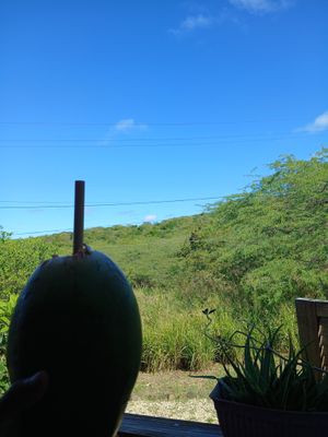  at Suka Kitchen Culebra  in Culebra