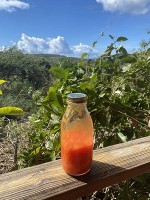 Papaya juice   at Suka Kitchen Culebra  in Culebra
