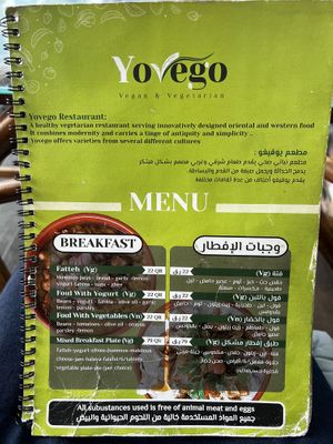   at Yovego  in Doha