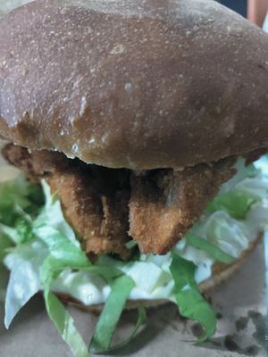 Pohani bukovi ostrigarji at Crusty Kuhna in Ljubljana