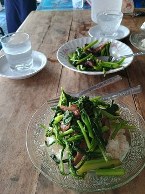 This was only round one. 3 more dishes arrived. at Jay Vegetarian for Health - อาหารเจเพื่อสุขภาพ in Chiang Mai