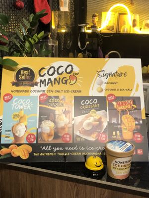 2 flavours of ice cream   at COCO MANGO in Chiang Mai