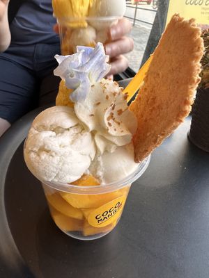   at COCO MANGO in Chiang Mai