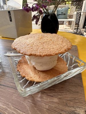   at COCO MANGO in Chiang Mai