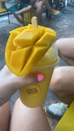 Smoothie   at COCO MANGO in Chiang Mai