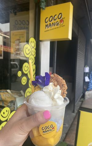 Sea salt, and mango ice cream with whipped cream and a biscuit   at COCO MANGO in Chiang Mai