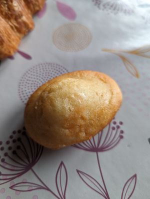 Vegan Madeleine at Les Belles Âmes Pâtisserie in Lyon
