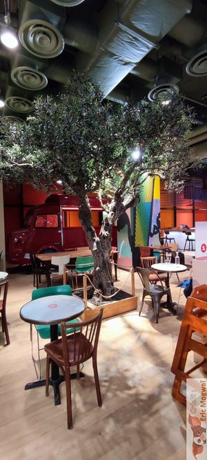 A wonderful tree inside Soya seats at Soya - Boom Boom Villette   in Paris