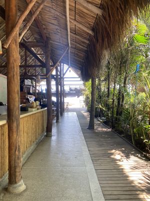   at Costeno Beach Hostel in Magdalena