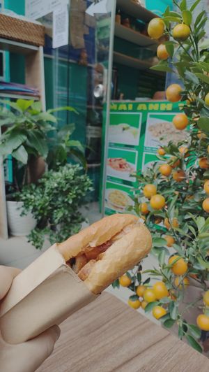 S at Banh Mi Vegan in Hanoi