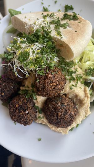 Falafel teller mit salat  at Krawummel in Muenster