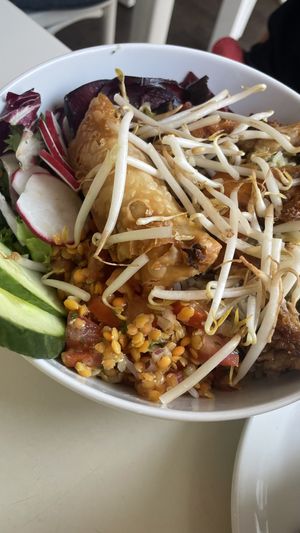 Indian bowl  at Krawummel in Muenster