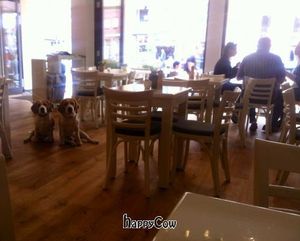 Dogs are welcome:) at Krawummel in Muenster