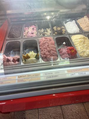 Sorbetto/non dairy case at Papalani Gelato in Koloa