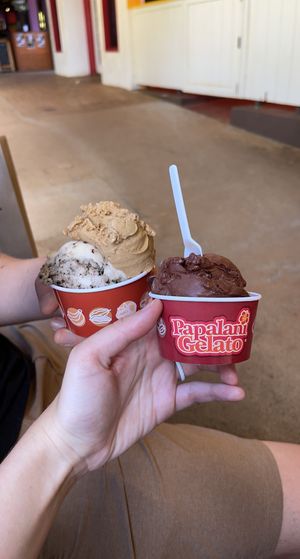 The one on right is a chocolate sorbetto at Papalani Gelato in Koloa